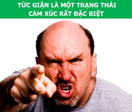 Giải mã những sự thật thú vị về cảm xúc “giận dữ” của con người - Ảnh 1.