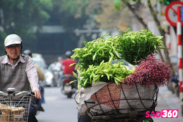 Dịu dàng tháng tư, loa kèn về ngang phố - Ảnh 11.