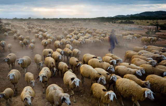 Một tuần thành công rực rỡ của nhiếp ảnh Việt trên National Geographic - Ảnh 3.