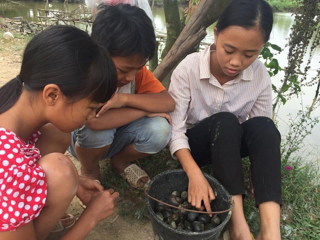 Bố chết, mẹ đau, 3 chị em mò ốc ăn vì hết gạo - Ảnh 7.