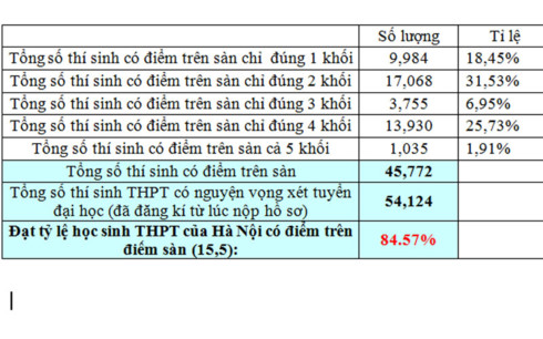 Hà Nội công bố số liệu học sinh thi THPT Quốc gia đạt trên điểm sàn - Ảnh 1.