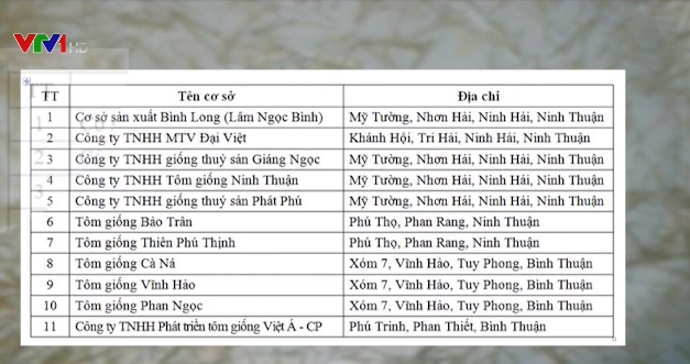 Nhiều DN ma giả mạo thương hiệu tôm giống Ninh Thuận - Ảnh 1.