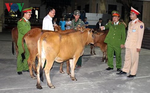 Đối tượng chuyên trộm trâu bò của người dân sa lưới - Ảnh 2.