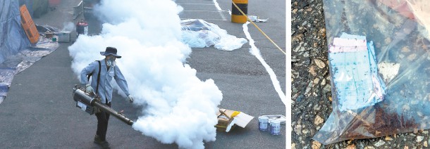 Ph&aacute;t hiện h&agrave;ng ngh&igrave;n con kiến lửa đỏ g&acirc;y chết người tại cảng Incheon, H&agrave;n Quốc - Ảnh 1.