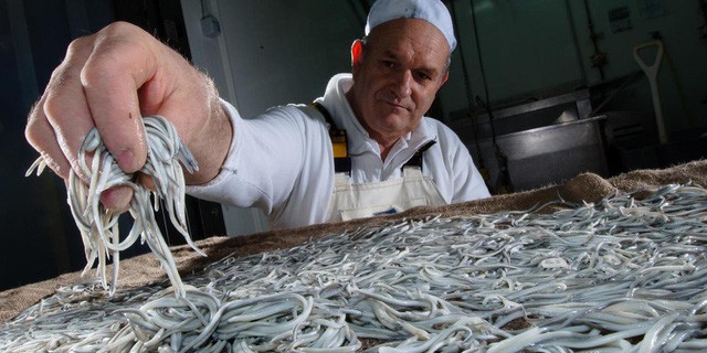 M&oacute;n đặc sản bị nhiều người cho l&agrave; &ldquo;nhạt nhẽo&rdquo; nhưng c&oacute; gi&aacute; h&agrave;ng chục triệu một kg - Ảnh 3.