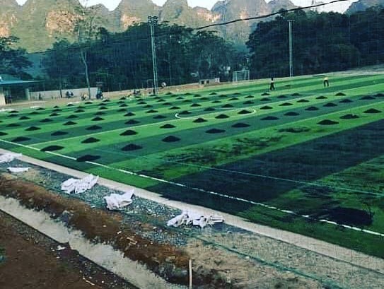 Anh em Tiến Dũng - Tiến Dụng khai trương sân bóng phục vụ người dân quê nhà - Ảnh 2.