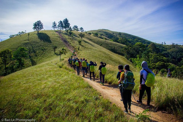 Những đồi cỏ xanh bạt ngàn trên cung đường trekking đẹp nhất Việt Nam - Ảnh 1.