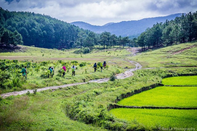 Những đồi cỏ xanh bạt ngàn trên cung đường trekking đẹp nhất Việt Nam - Ảnh 14.