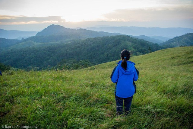 Những đồi cỏ xanh bạt ngàn trên cung đường trekking đẹp nhất Việt Nam - Ảnh 4.