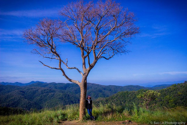 Những đồi cỏ xanh bạt ngàn trên cung đường trekking đẹp nhất Việt Nam - Ảnh 5.