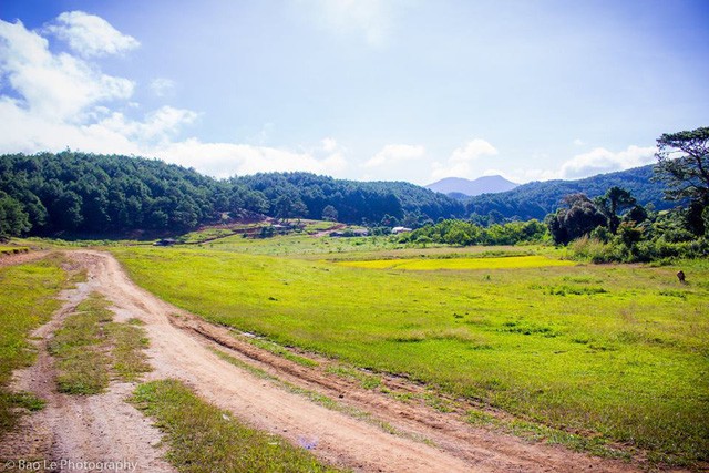 Những đồi cỏ xanh bạt ngàn trên cung đường trekking đẹp nhất Việt Nam - Ảnh 6.