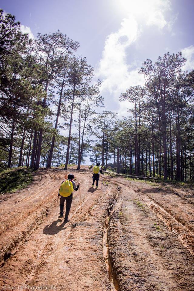 Những đồi cỏ xanh bạt ngàn trên cung đường trekking đẹp nhất Việt Nam - Ảnh 8.