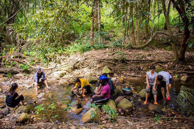 Những đồi cỏ xanh bạt ngàn trên cung đường trekking đẹp nhất Việt Nam - Ảnh 9.