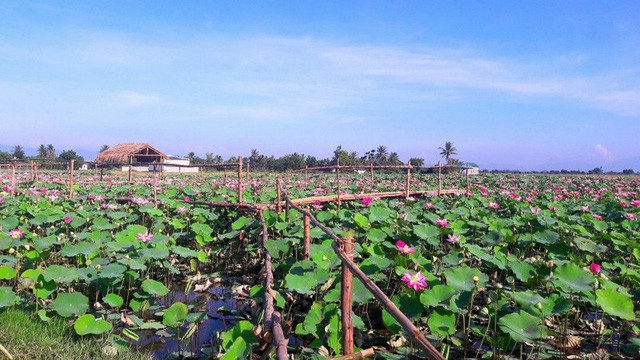 Những điểm “sống ảo” cho du khách dịp Tết dương lịch - Ảnh 8.