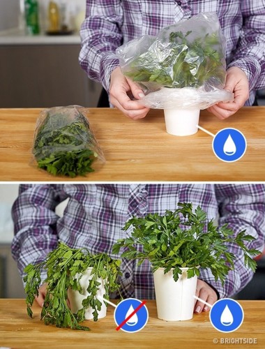 Vỡ mộng với những mẹo nh&agrave; bếp &ldquo;hot&rdquo; nhất tr&ecirc;n mạng x&atilde; hội - Ảnh 12.