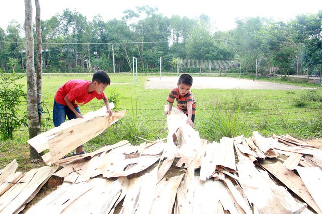 Không có bố, mẹ bỏ rơi, bé lớp 4 sống khốn khó bên người mợ ruột - Ảnh 1.