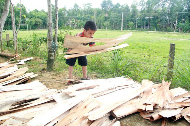 Không có bố, mẹ bỏ rơi, bé lớp 4 sống khốn khó bên người mợ ruột - Ảnh 5.