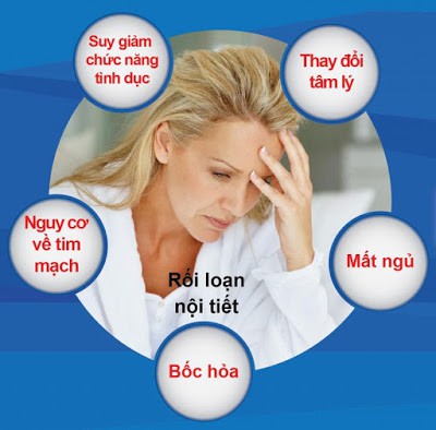 Sức khỏe tuổi mãn kinh - Ảnh 1.