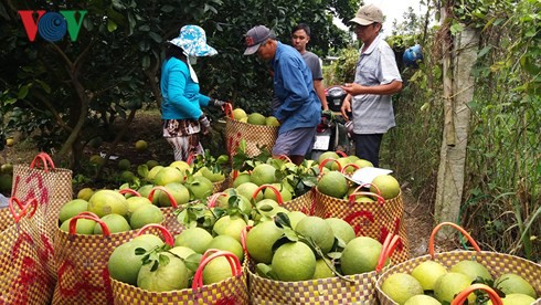 Tiền Giang đề ra 7 nhóm giải pháp phát triển kinh tế xã hội bền vững - Ảnh 1.