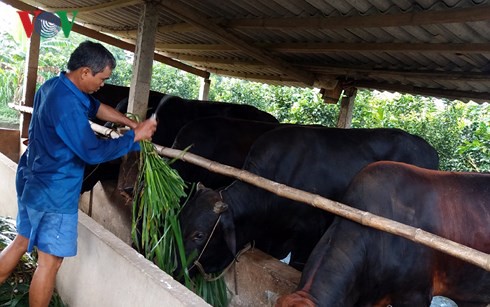 Tiền Giang đề ra 7 nhóm giải pháp phát triển kinh tế xã hội bền vững - Ảnh 2.