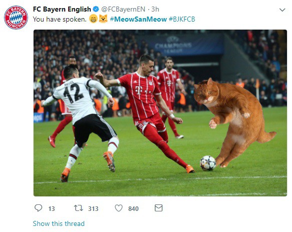 Cầu thủ xuất sắc nhất trận Besiktas - Bayern Munich là một chú... mèo? - Ảnh 5.