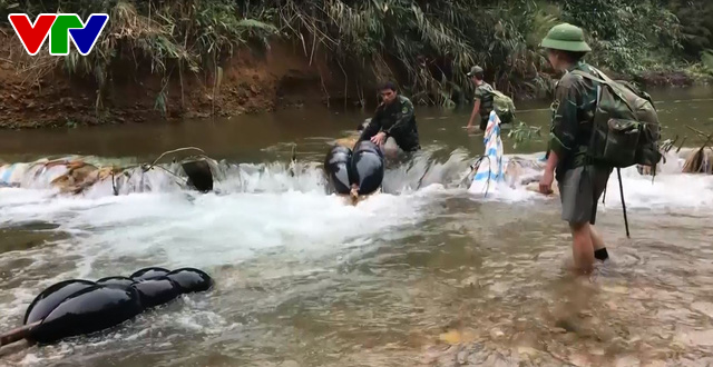 Quảng Bình làm rõ trách nhiệm cá nhân, tổ chức liên quan đến vụ phá rừng phòng hộ - Ảnh 3.