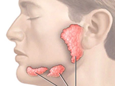 Các bệnh của tuyến nước bọt có nguy hiểm? - Ảnh 1.