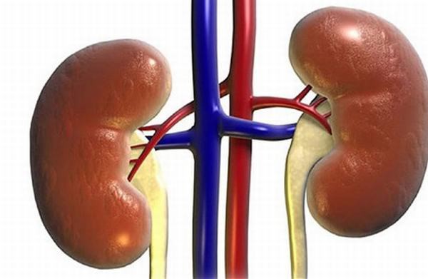 5 dấu hiệu cảnh báo suy thận ở nữ giới - Ảnh 1. 5 dấu hiệu cảnh báo suy thận ở nữ giới - Ảnh 1.
