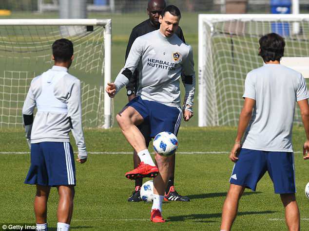 Ibrahimovic tươi như hoa ở buổi tập đầu tiên tại LA Galaxy  - Ảnh 3.