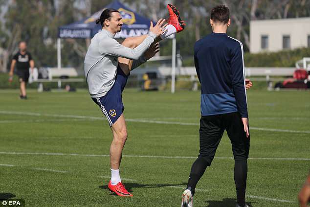 Ibrahimovic tươi như hoa ở buổi tập đầu tiên tại LA Galaxy  - Ảnh 6.