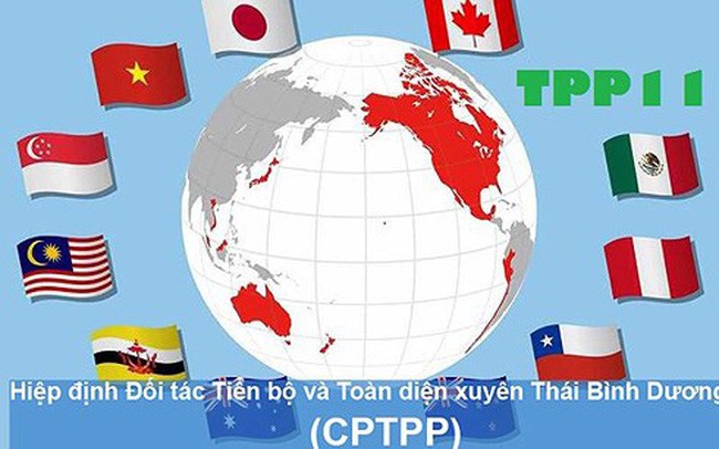 CPTPP - Những màn đàm phán kịch tính và sức hấp dẫn không thể bỏ qua - Ảnh 14.