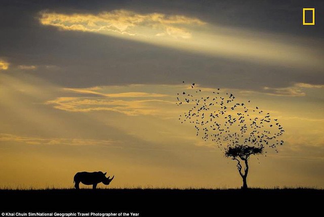 Những bức ảnh tuyệt đẹp trong giải thưởng ảnh du lịch của National Geographic 2018 - Ảnh 4.