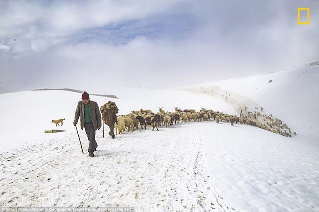 Những bức ảnh tuyệt đẹp trong giải thưởng ảnh du lịch của National Geographic 2018 - Ảnh 5.