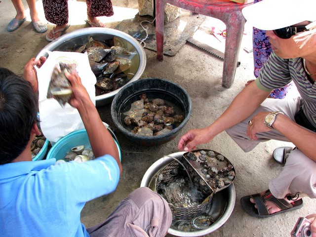 Những điểm đến ở Cù Lao Chàm mà du khách không nên bỏ qua - Ảnh 11.