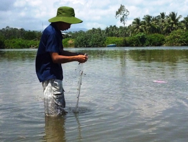 Không tiền mổ tim, người phụ nữ nghèo về nhà chờ chết - Ảnh 3.