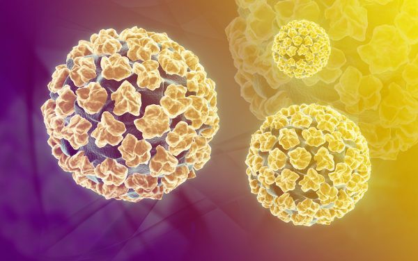 Vi rút HPV có nguy hiểm không? - Ảnh 1.