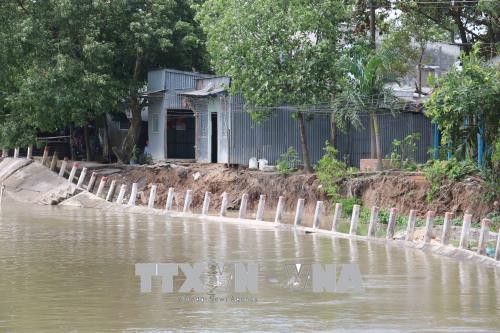 An Giang di dời khẩn cấp 19 hộ dân trong khu vực sạt lở - Ảnh 1.