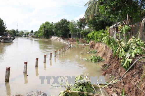 An Giang di dời khẩn cấp 19 hộ dân trong khu vực sạt lở - Ảnh 3.