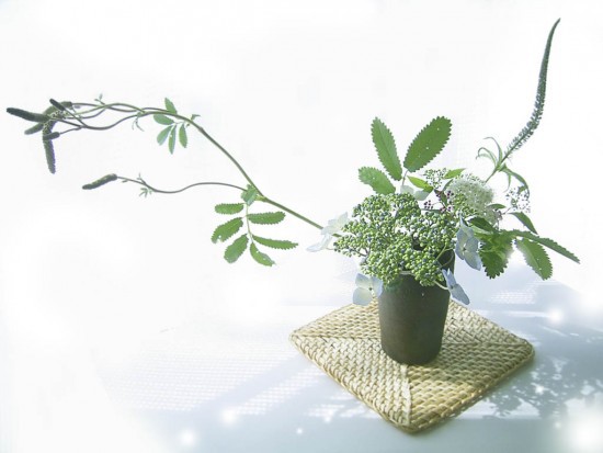 Trực tiếp Thế hệ số 10h00 (20/6): Hướng dẫn cắm hoa theo phong cách Ikebana - Ảnh 2.