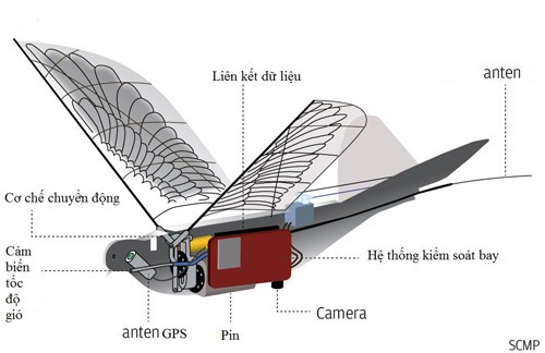 Trung Quốc sáng chế UAV chim bồ câu bịt mắt radar - Ảnh 2.