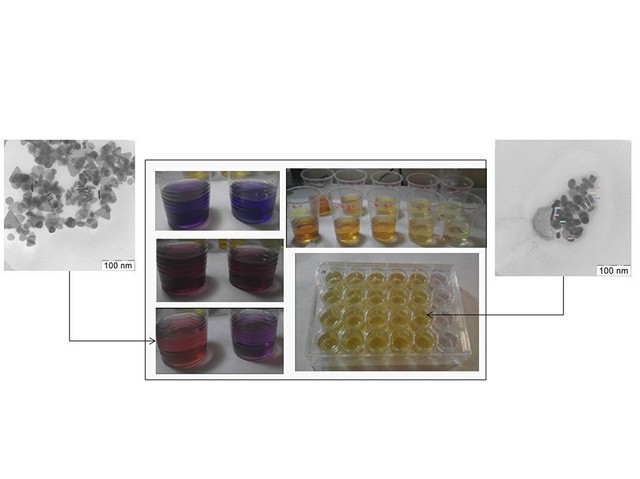 Giới khoa học Nga xác minh độc sinh thái của các hạt nano bạc - Ảnh 1.