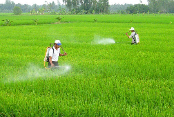 Cách phòng ngừa ung thư máu cần biết - Ảnh 1.