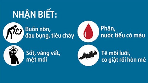 Ngộ độc thực phẩm: Báo động đỏ trong những ngày hè - Ảnh 1.