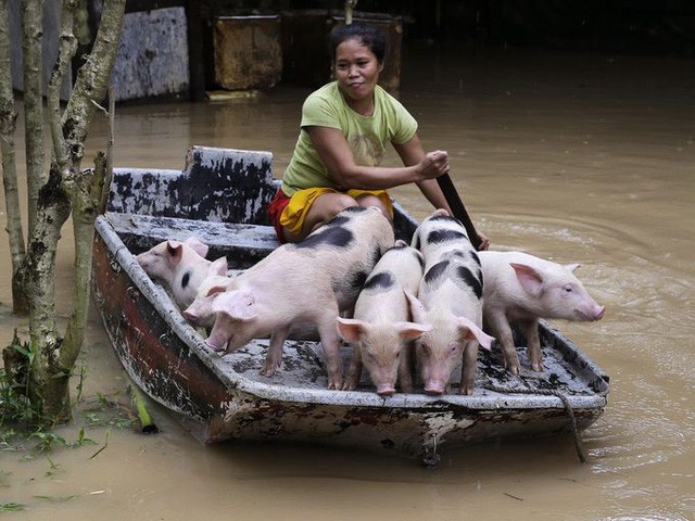 Người dân Philippines vật lộn sau đợt bão lũ kéo dài - Ảnh 6.