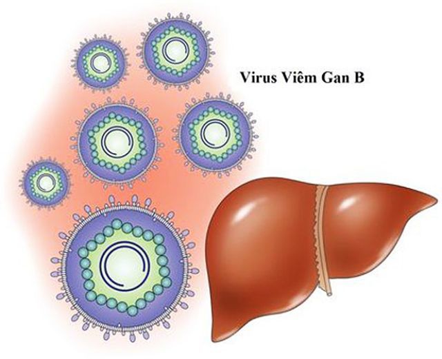 Làm gì để kiểm soát viêm gan B? - Ảnh 1.