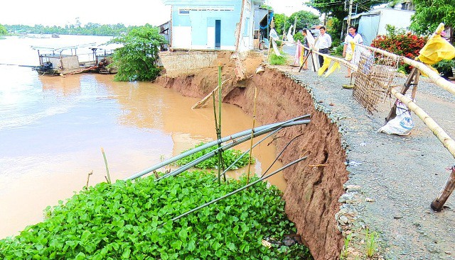 Xây kè chống sạt lở bảo vệ khu 2.600ha tại Đồng Tháp - Ảnh 1.