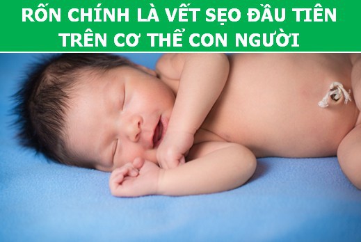Bất ngờ trước những sự thật khoa học về… chiếc rốn - Ảnh 3.