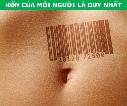 Bất ngờ trước những sự thật khoa học về… chiếc rốn - Ảnh 4.