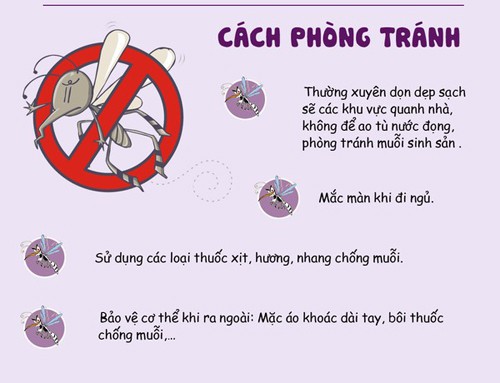 Chủ quan khi mắc bệnh sốt xuất huyết có thể dẫn tới suy đa tạng - Ảnh 2.