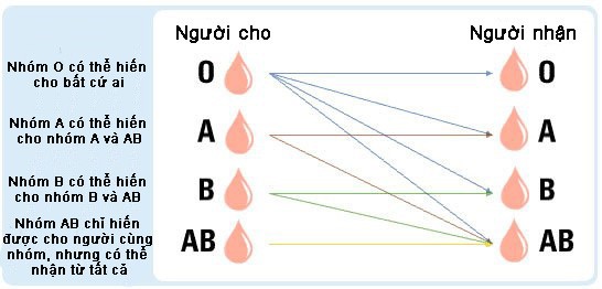 1. Giới thiệu về nhóm máu AB